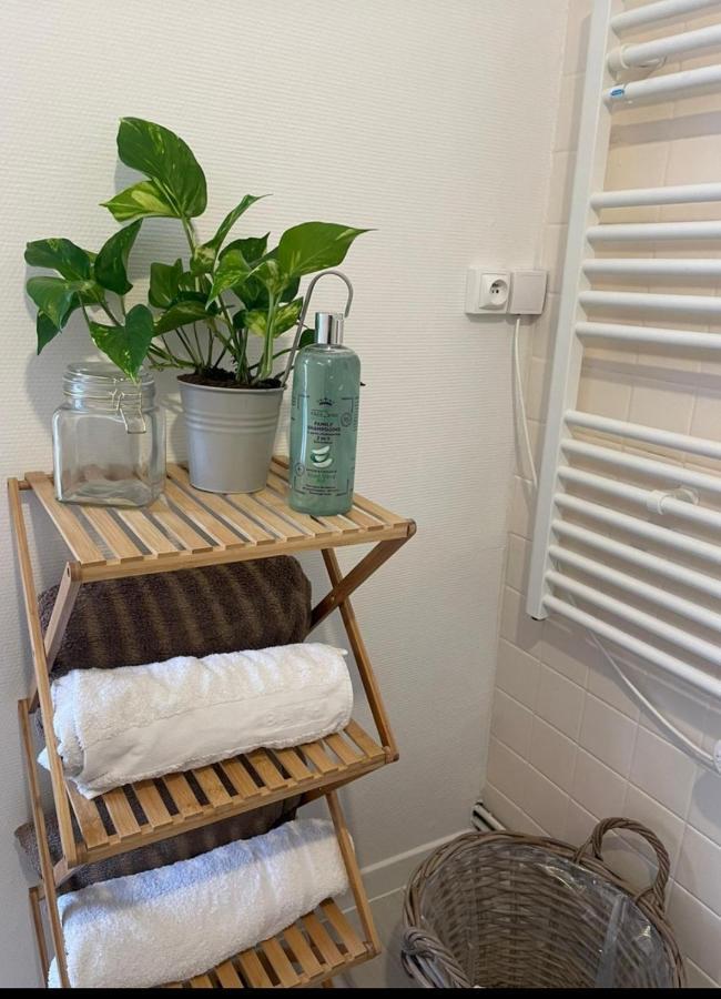 ויטרי-סור-סיין Maison Cosy Paris Orly Jardin Privee מראה חיצוני תמונה